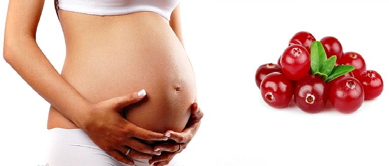 Беременность и ягоды клюквы