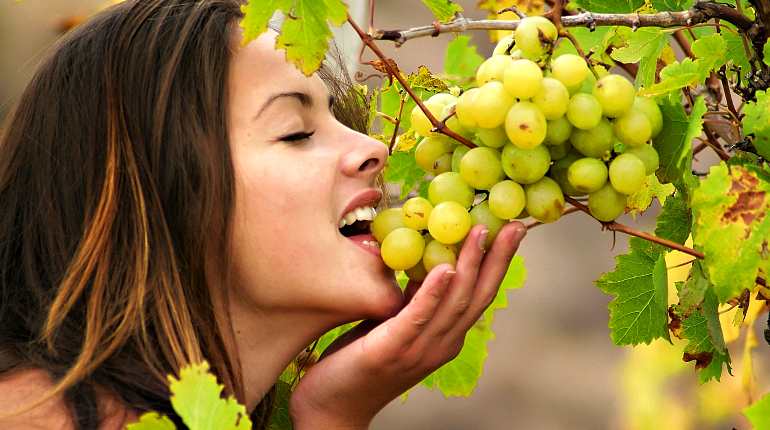 Девушка ест виноград с лозы